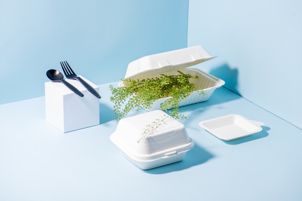 Sugar Cane Boxes